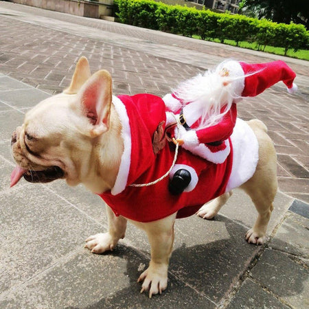 Christmas Santa Dog Costume - PeekWise
