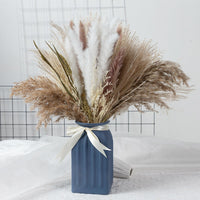 Thumbnail for product-image