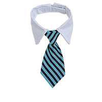 Thumbnail for Sugar & Cotton's Famous Pet Neckties