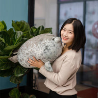 Thumbnail for Cute Seal Pillow