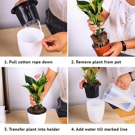 Self Watering Plant Pots
