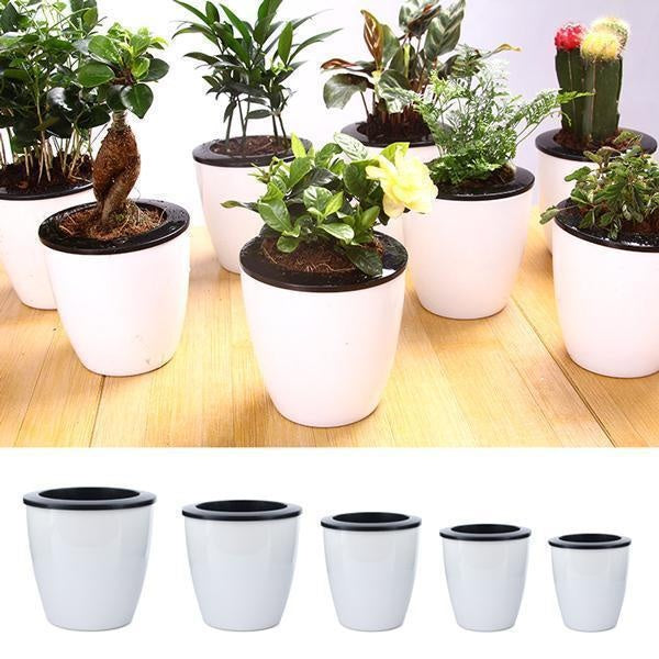 Self Watering Plant Pots