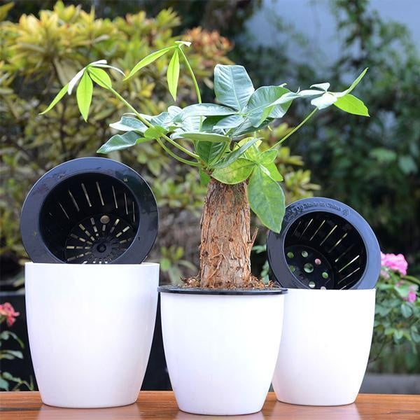 Self Watering Plant Pots