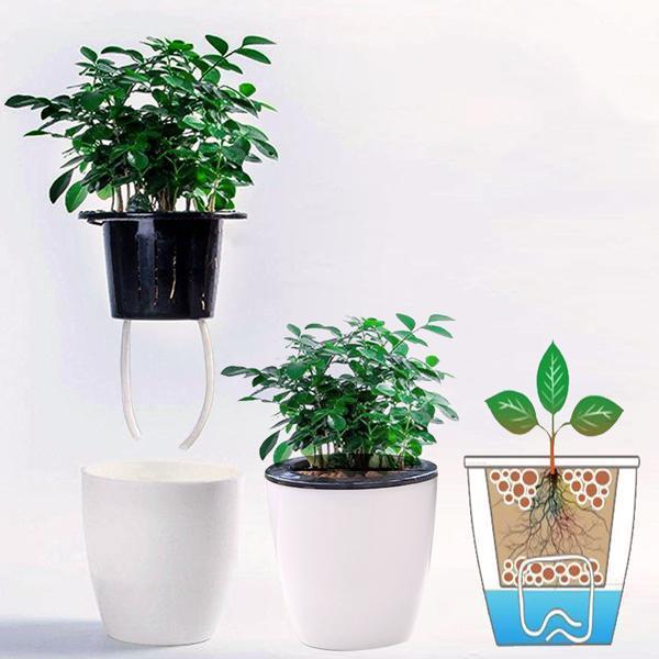 Self Watering Plant Pots