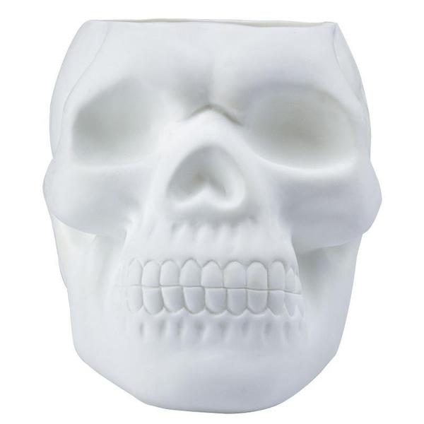 Skull Holder Plant Pot