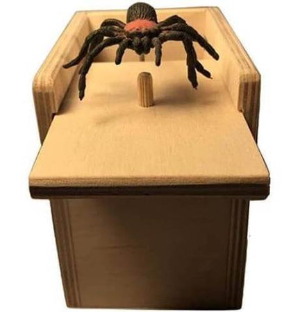 Spider Prank Box - PeekWise