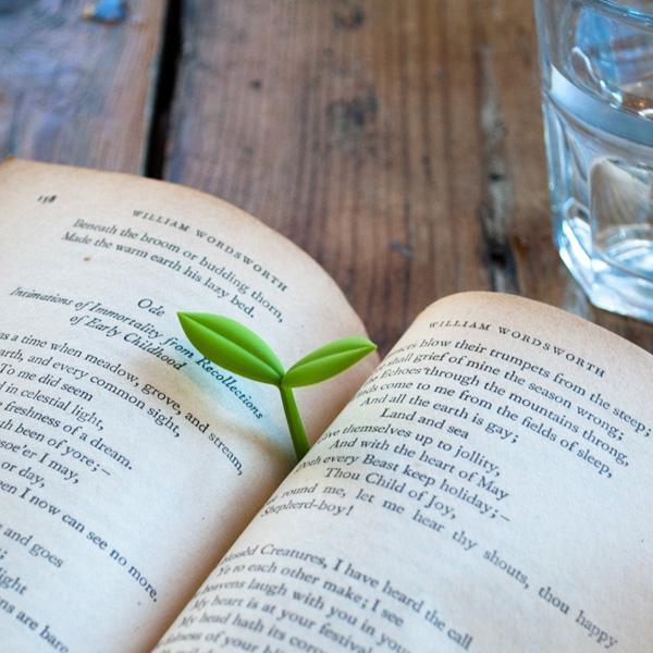 Sprout Seedling Bookmarks (Set Of 4)