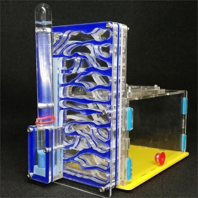 Ant Farm Live Formicarium - PeekWise