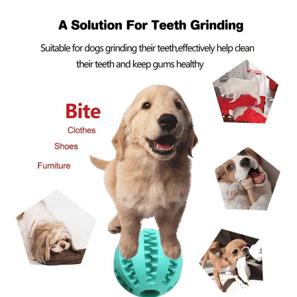 Teeth-Cleaning Dog Feeder Toy - PeekWise