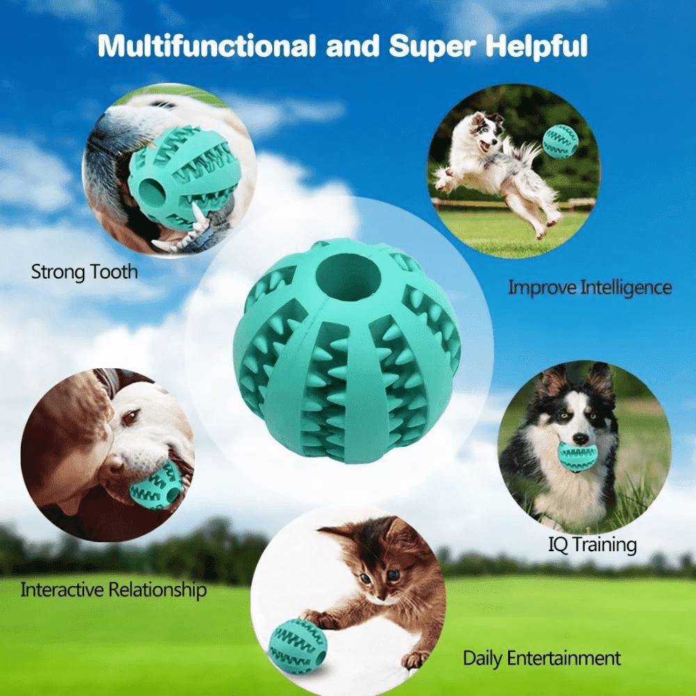 Teeth-Cleaning Dog Feeder Toy - PeekWise