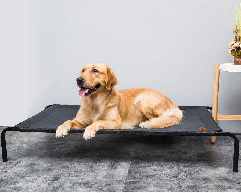 Duke - Breathable Mesh Raised Bed