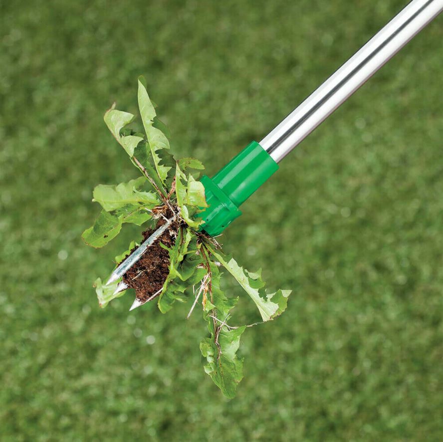 Stand-up Weeder