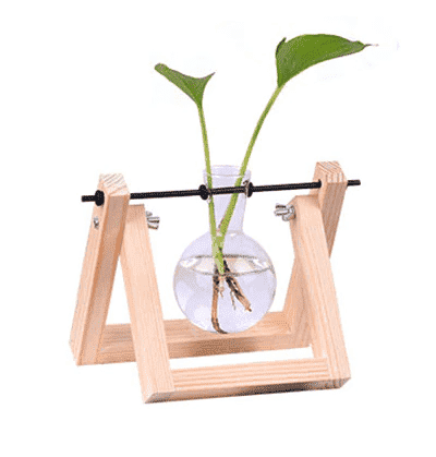 Wooden Terrarium Desk Planter - PeekWise