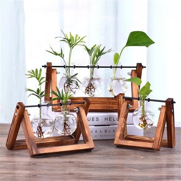 Wooden Terrarium Desk Planter - PeekWise