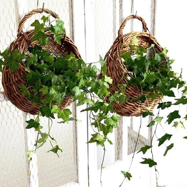 Woven Hanging Planter Wicker Basket