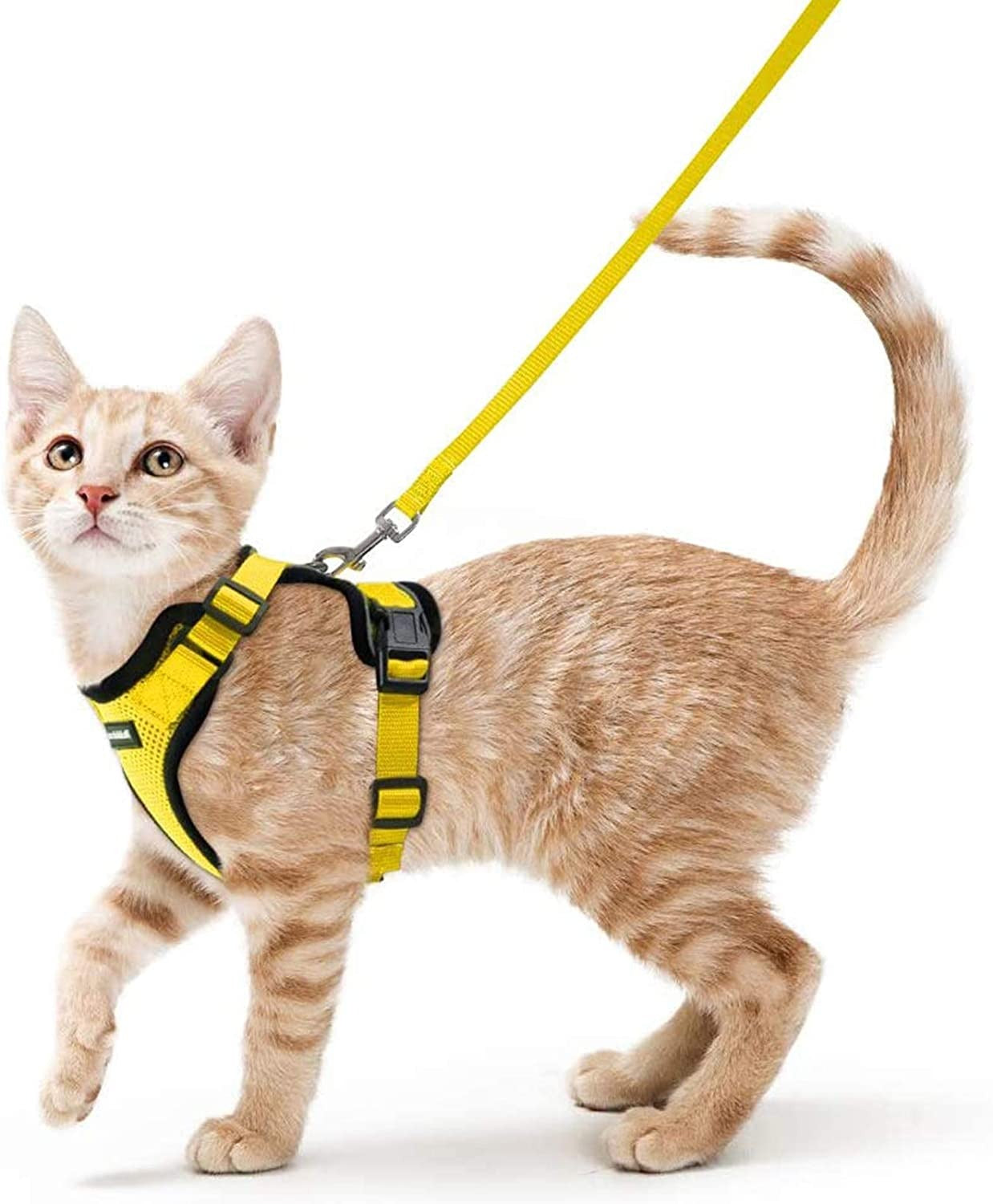 Cat Harness For Walking