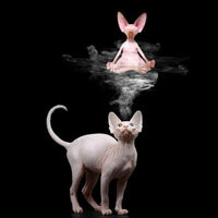 Thumbnail for Zen Yoga Pose Meditation Cat Figurine