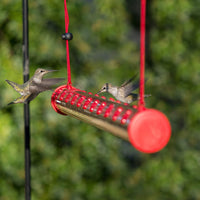 Thumbnail for Bob's Best Hummingbird Feeder