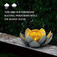 Thumbnail for Amber Lotus Global Light