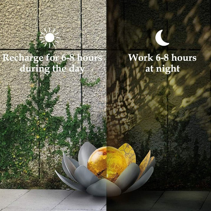 Amber Lotus Global Light