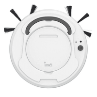 Thumbnail for Robotic Vacuum Cleaner PeekWise