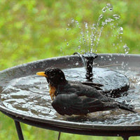 Thumbnail for Solar Powered Fountain Pump