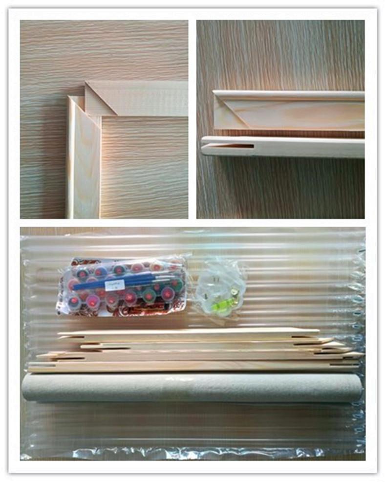 Color Splash Cat - Van-Go Paint-By-Number Kit