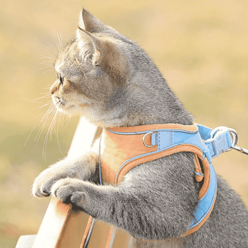 Reflective Cat harness leash PeekWise