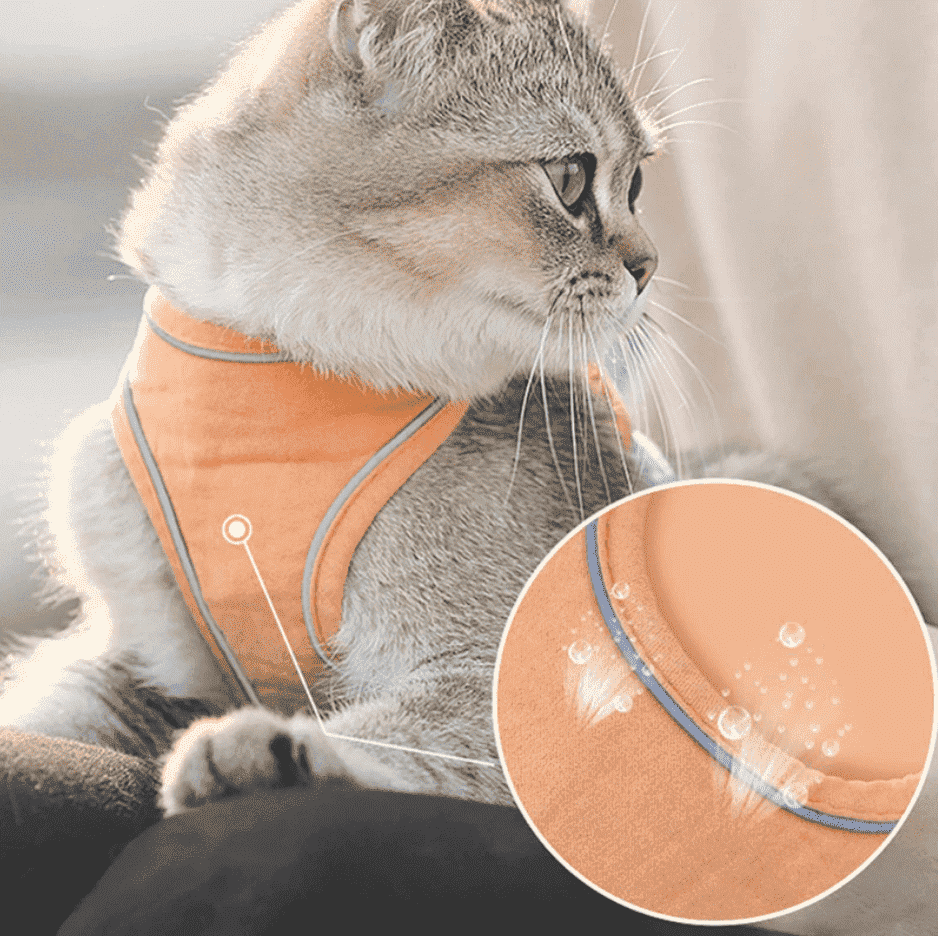 Reflective Cat harness leash PeekWise