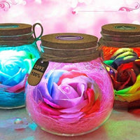 Thumbnail for Forever Flower® LED Rose Bottle Lamp PeekWise