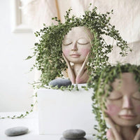 Thumbnail for The Reyna Plant Pot