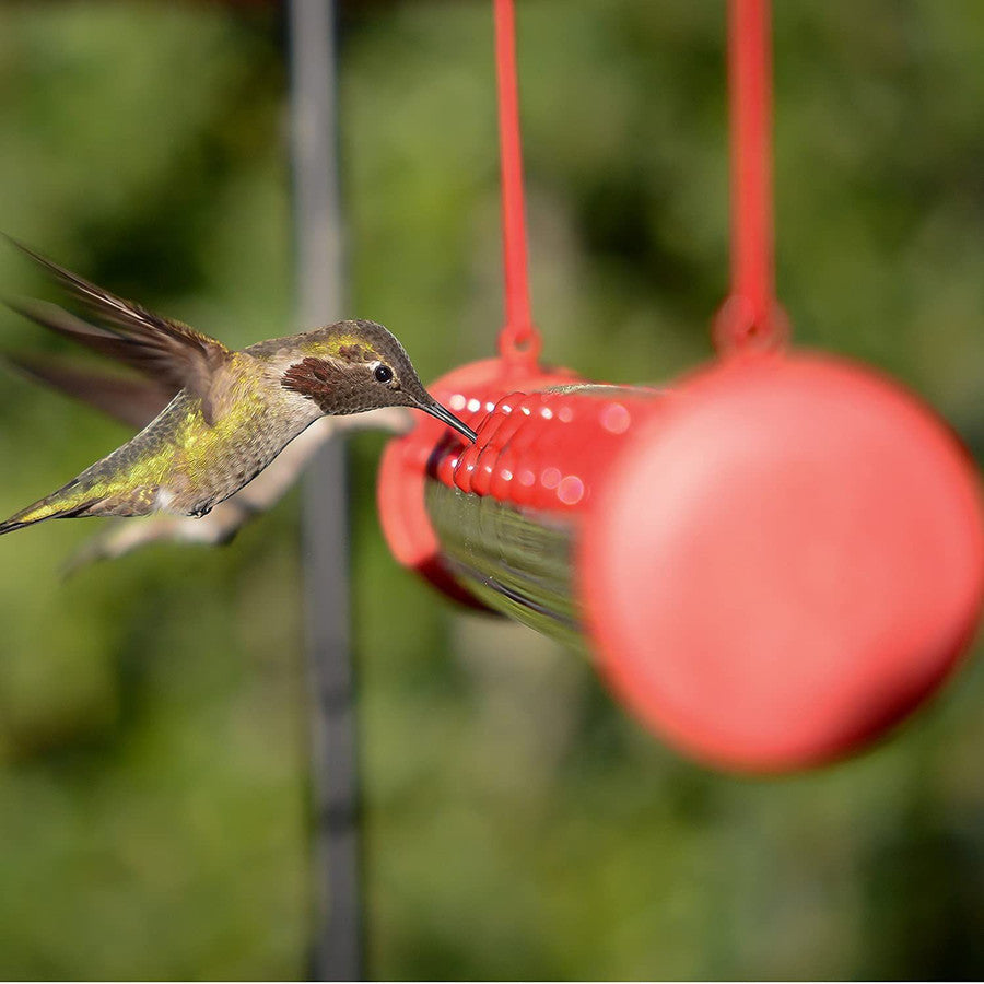 Bob's Best Hummingbird Feeder