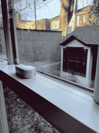 Thumbnail for product-image