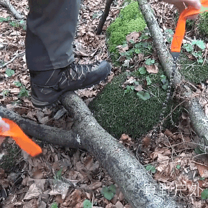 Portable Chainsaw