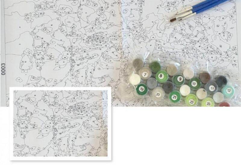 Geeky Frog - Van-Go Paint-By-Number Kit