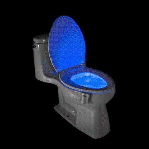 Motion Activated Disco Toilet Bowl Light