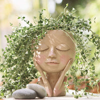 Thumbnail for The Reyna Plant Pot