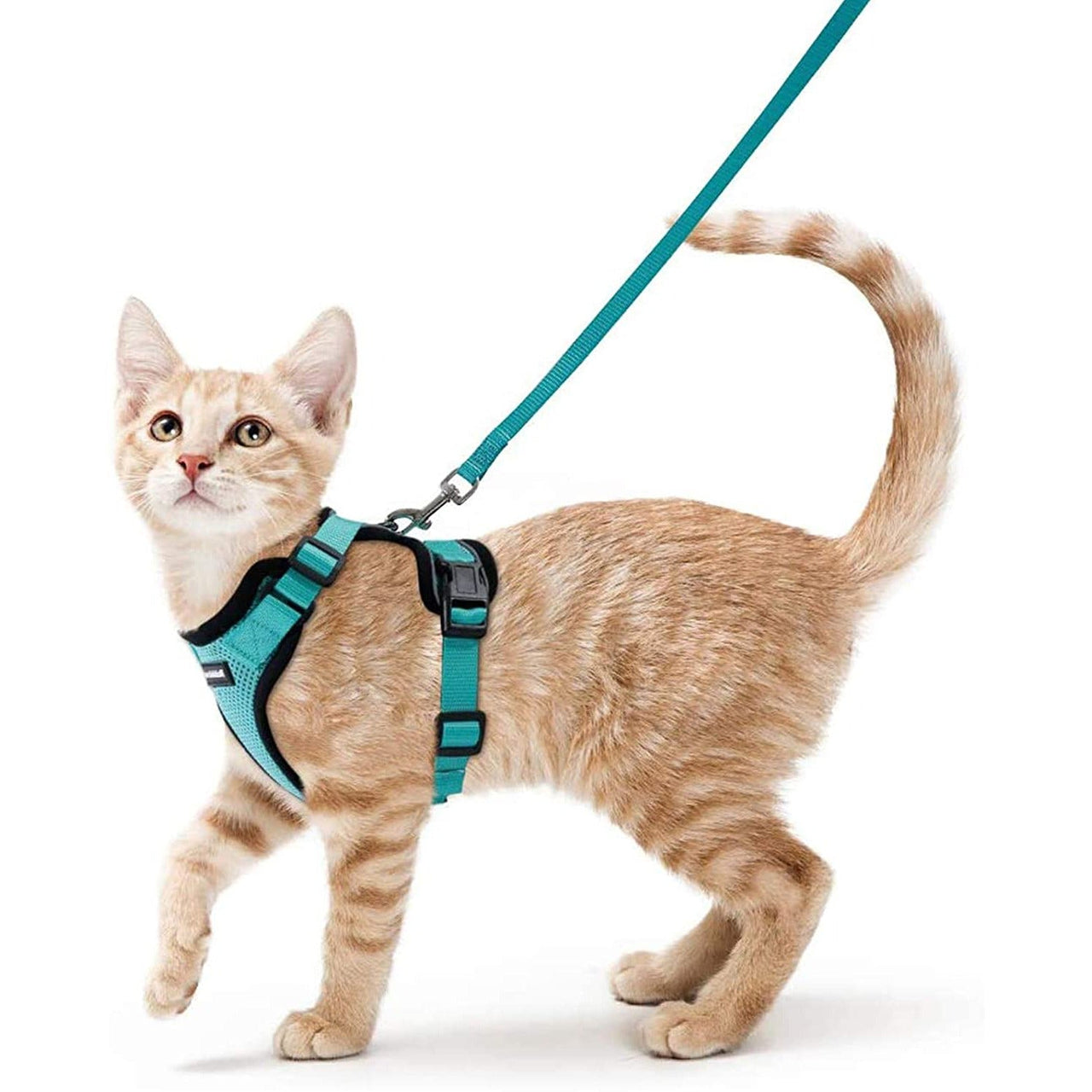 Cat Harness For Walking