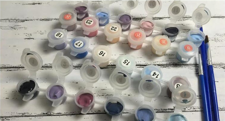 Hot Air Balloon Lavender Field - Van-Go Paint-By-Number Kit