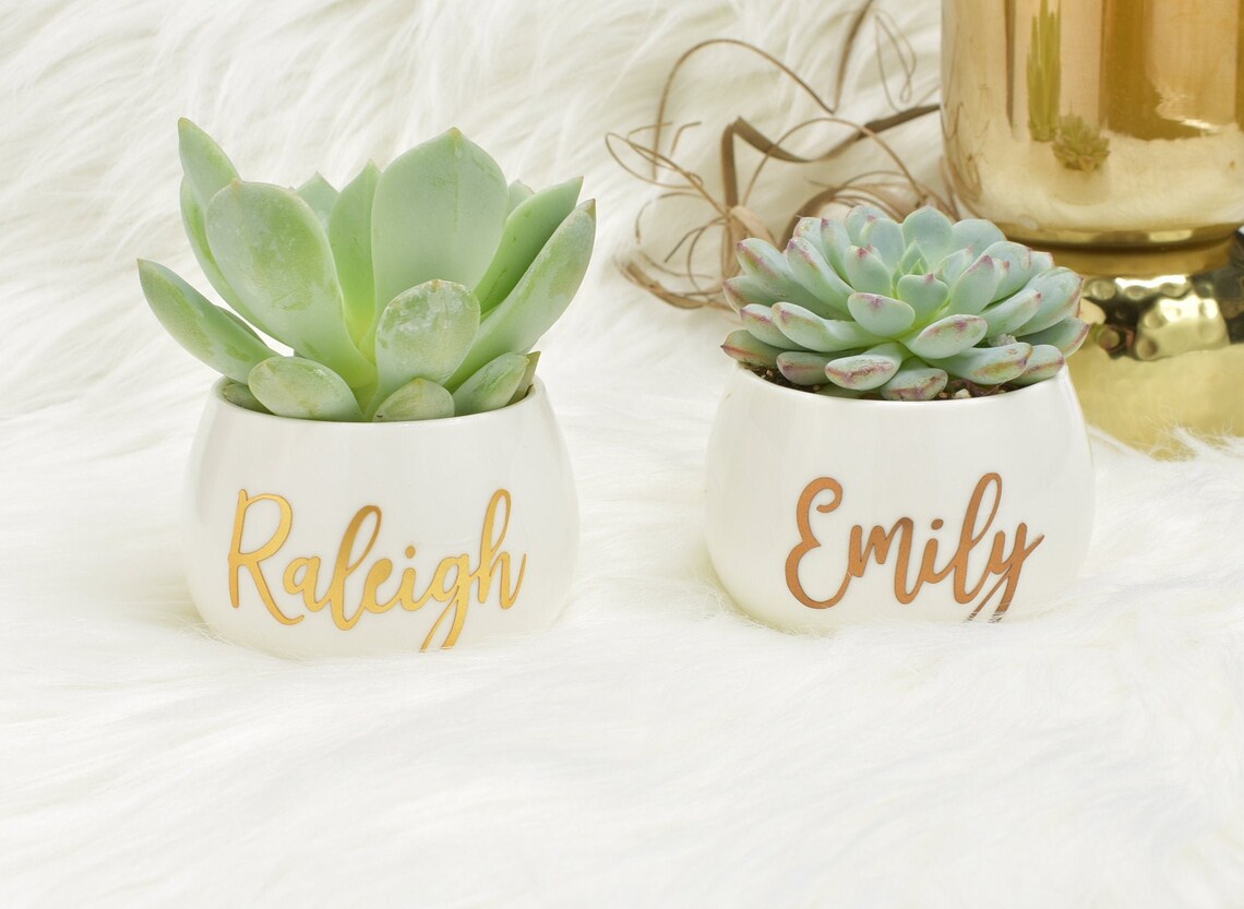 Customized Ceramic Pot w/ Live Succulent