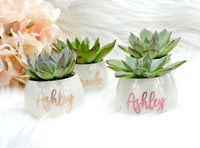 Thumbnail for Customized Ceramic Pot w/ Live Succulent