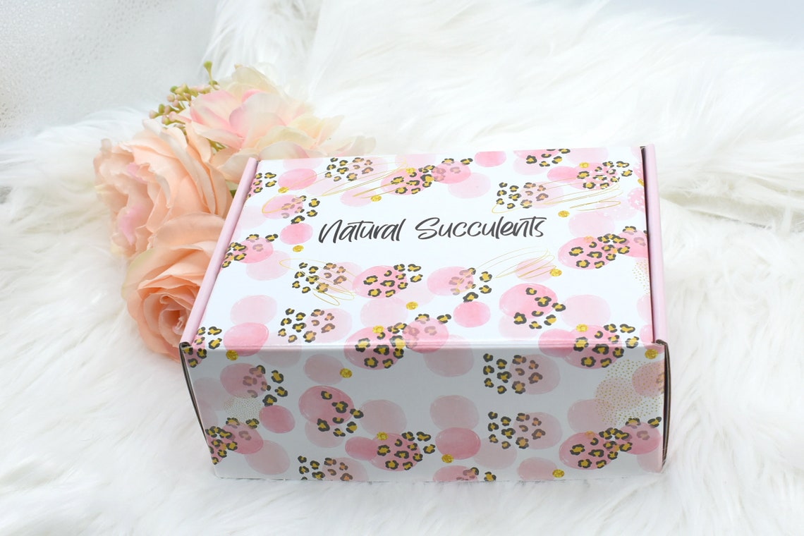 Customized Ceramic Pot w/ Live Succulent