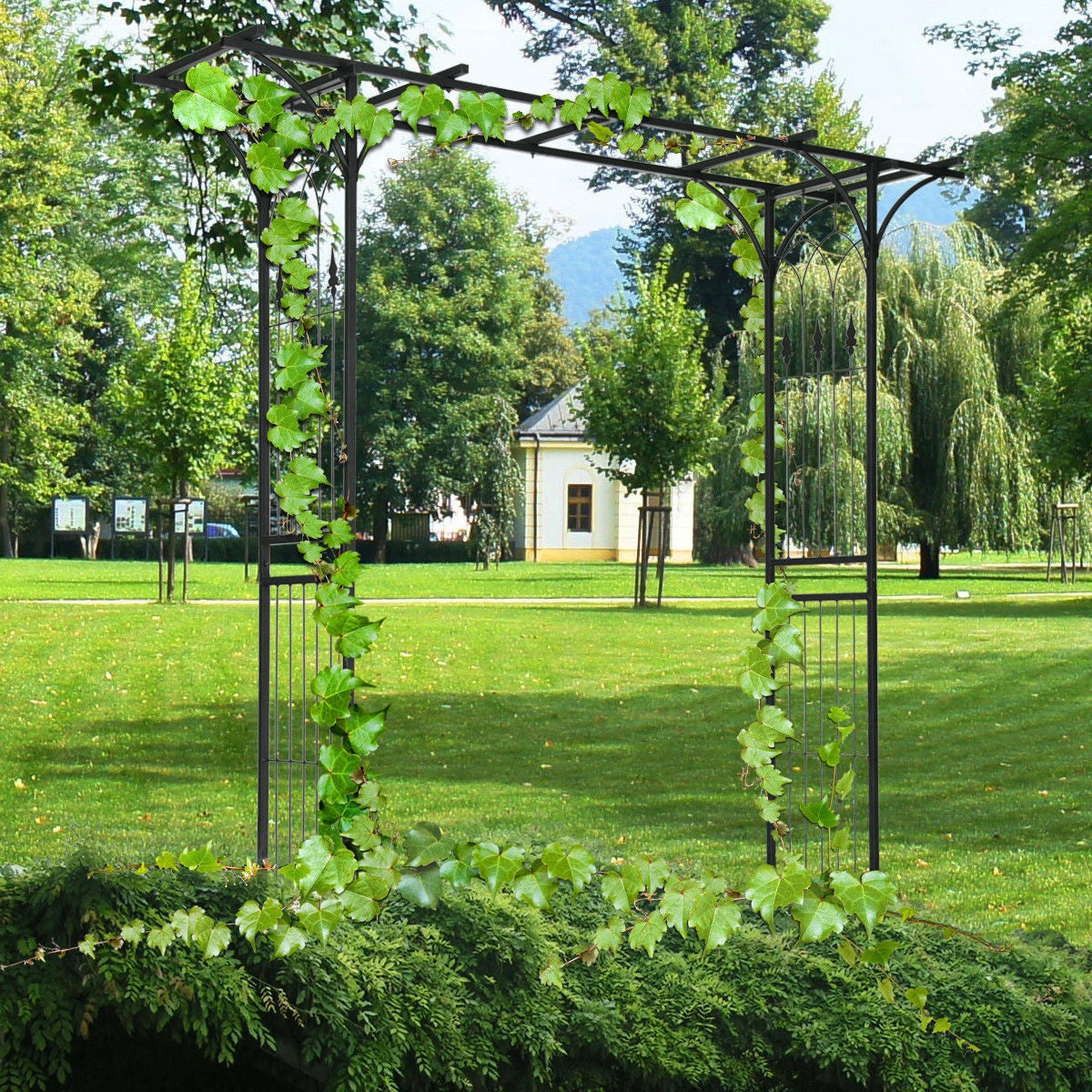 Pergola Archway Garden Wedding Rose Arch