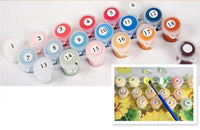 Thumbnail for Fireworks on the Lake - Van-Go Paint-By-Number Kit