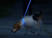 Thumbnail for LED Dog Collar