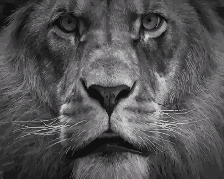 King of the Jungle - Van-Go Paint-By-Number Kit