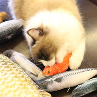 Thumbnail for Cat Kicker Fish Toy
