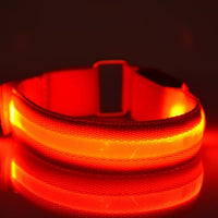 Thumbnail for LightUp - Glowing LED Sport Band