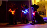 Thumbnail for LED Flash Dog Collar Pendant