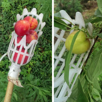 Thumbnail for Fruit Picker & Catcher Garden Tool